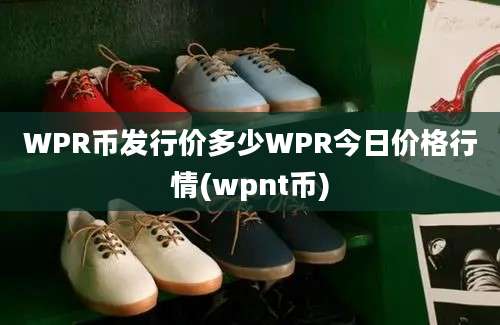 WPR币发行价多少WPR今日价格行情(wpnt币)