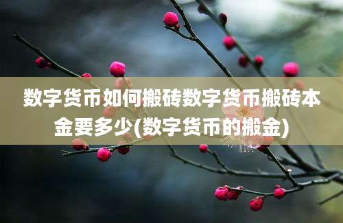 数字货币如何搬砖数字货币搬砖本金要多少(数字货币的搬金)