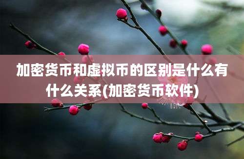 加密货币和虚拟币的区别是什么有什么关系(加密货币软件)