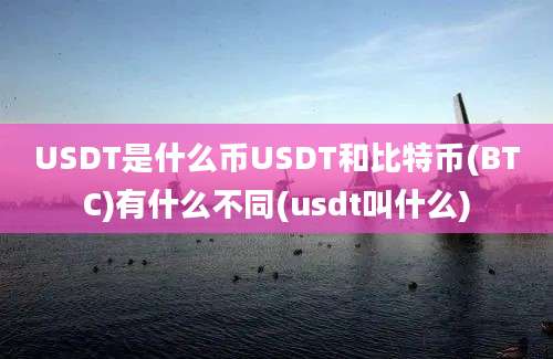 USDT是什么币USDT和比特币(BTC)有什么不同(usdt叫什么)