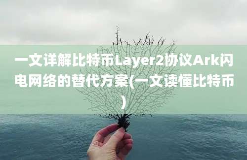 一文详解比特币Layer2协议Ark闪电网络的替代方案(一文读懂比特币)