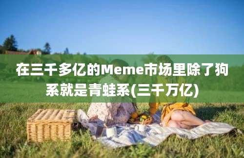 在三千多亿的Meme市场里除了狗系就是青蛙系(三千万亿)