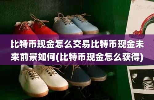 比特币现金怎么交易比特币现金未来前景如何(比特币现金怎么获得)