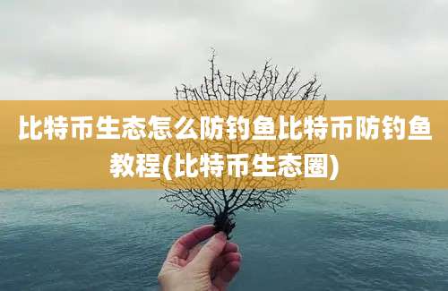 比特币生态怎么防钓鱼比特币防钓鱼教程(比特币生态圈)