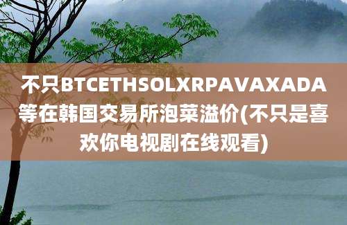 不只BTCETHSOLXRPAVAXADA等在韩国交易所泡菜溢价(不只是喜欢你电视剧在线观看)