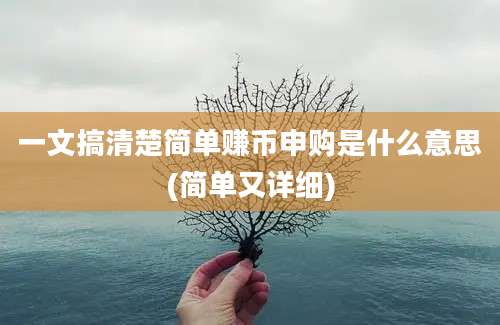 一文搞清楚简单赚币申购是什么意思(简单又详细)