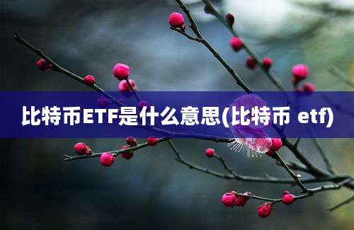 比特币ETF是什么意思(比特币 etf)