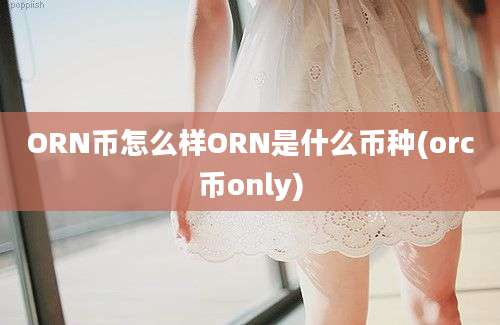 ORN币怎么样ORN是什么币种(orc币only)