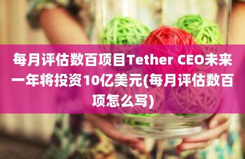 每月评估数百项目Tether CEO未来一年将投资10亿美元(每月评估数百项怎么写)