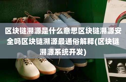 区块链溯源是什么意思区块链溯源安全吗区块链溯源最通俗解释(区块链溯源系统开发)