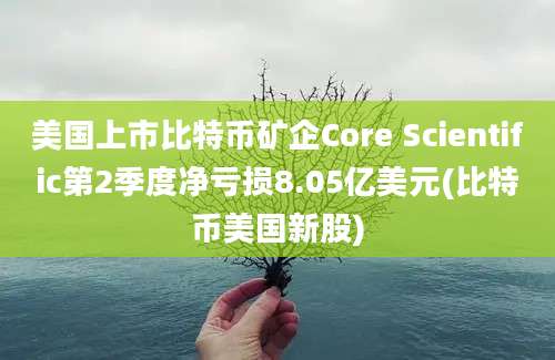 美国上市比特币矿企Core Scientific第2季度净亏损8.05亿美元(比特币美国新股)