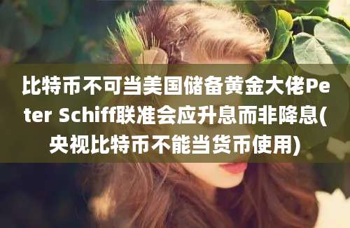 比特币不可当美国储备黄金大佬Peter Schiff联准会应升息而非降息(央视比特币不能当货币使用)