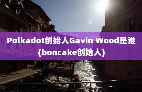 Polkadot创始人Gavin Wood是谁(boncake创始人)