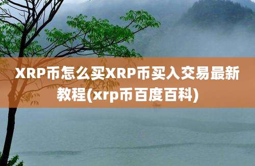 XRP币怎么买XRP币买入交易最新教程(xrp币百度百科)