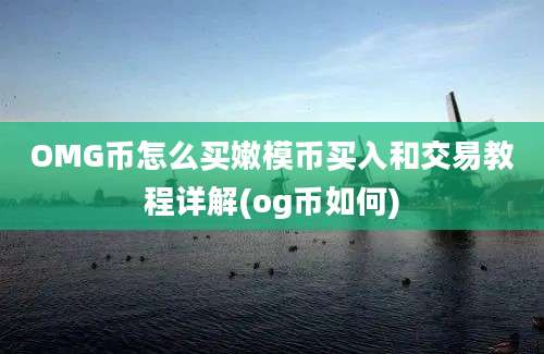 OMG币怎么买嫩模币买入和交易教程详解(og币如何)