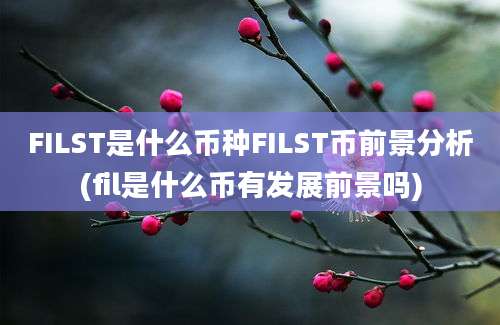 FILST是什么币种FILST币前景分析(fil是什么币有发展前景吗)