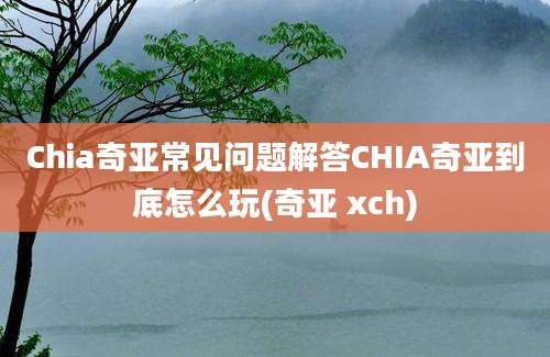 Chia奇亚常见问题解答CHIA奇亚到底怎么玩(奇亚 xch)