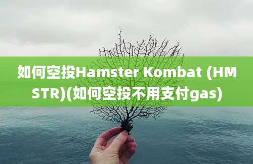 如何空投Hamster Kombat (HMSTR)(如何空投不用支付gas)