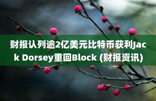 财报认列逾2亿美元比特币获利Jack Dorsey重回Block (财报资讯)