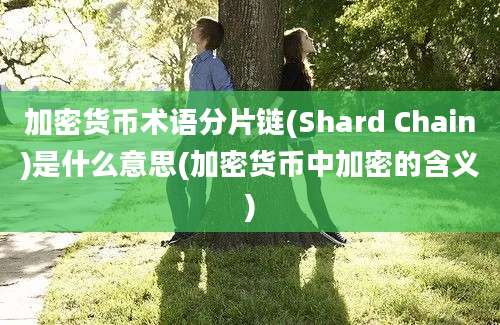 加密货币术语分片链(Shard Chain)是什么意思(加密货币中加密的含义)