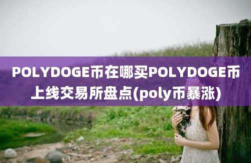 POLYDOGE币在哪买POLYDOGE币上线交易所盘点(poly币暴涨)