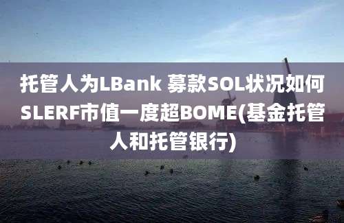 托管人为LBank 募款SOL状况如何SLERF市值一度超BOME(基金托管人和托管银行)