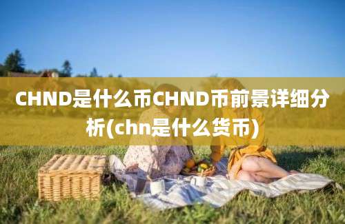 CHND是什么币CHND币前景详细分析(chn是什么货币)