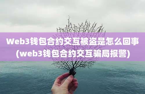 Web3钱包合约交互被盗是怎么回事(web3钱包合约交互骗局报警)