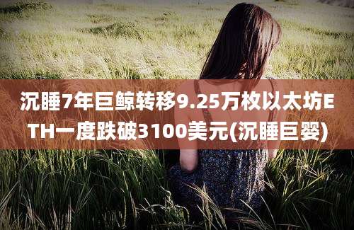 沉睡7年巨鲸转移9.25万枚以太坊ETH一度跌破3100美元(沉睡巨婴)