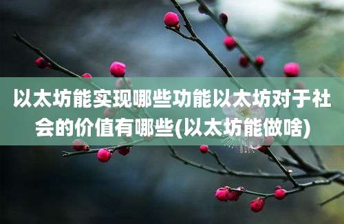 以太坊能实现哪些功能以太坊对于社会的价值有哪些(以太坊能做啥)