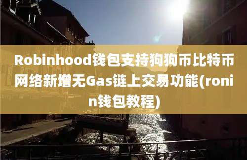 Robinhood钱包支持狗狗币比特币网络新增无Gas链上交易功能(ronin钱包教程)