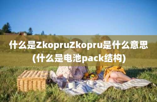 什么是ZkopruZkopru是什么意思(什么是电池pack结构)