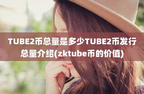 TUBE2币总量是多少TUBE2币发行总量介绍(zktube币的价值)