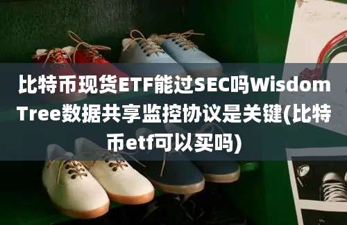 比特币现货ETF能过SEC吗WisdomTree数据共享监控协议是关键(比特币etf可以买吗)