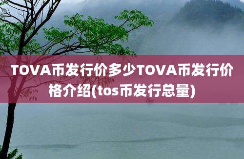 TOVA币发行价多少TOVA币发行价格介绍(tos币发行总量)