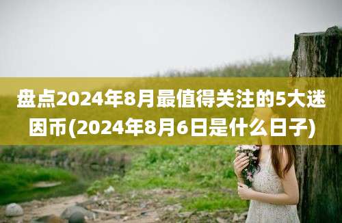 盘点2024年8月最值得关注的5大迷因币(2024年8月6日是什么日子)