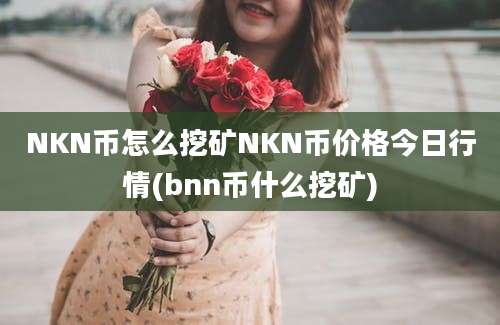 NKN币怎么挖矿NKN币价格今日行情(bnn币什么挖矿)