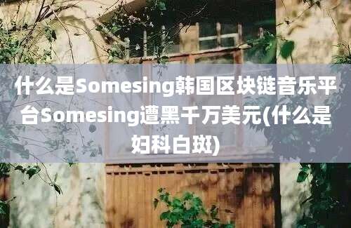 什么是Somesing韩国区块链音乐平台Somesing遭黑千万美元(什么是妇科白斑)