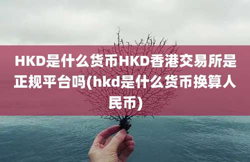 HKD是什么货币HKD香港交易所是正规平台吗(hkd是什么货币换算人民币)