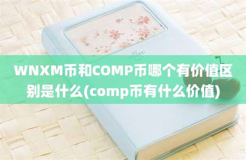 WNXM币和COMP币哪个有价值区别是什么(comp币有什么价值)