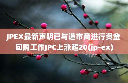 JPEX最新声明已与造市商进行资金回购工作JPC上涨超20(jp-ex)