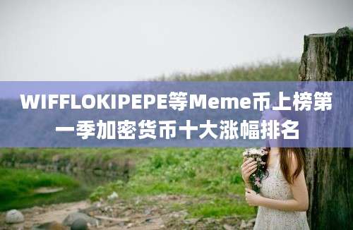 WIFFLOKIPEPE等Meme币上榜第一季加密货币十大涨幅排名