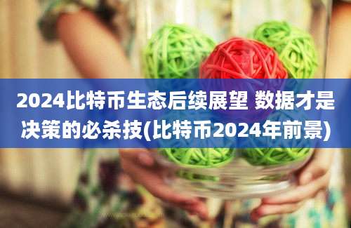 2024比特币生态后续展望 数据才是决策的必杀技(比特币2024年前景)