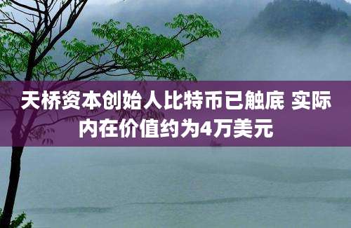 天桥资本创始人比特币已触底 实际内在价值约为4万美元