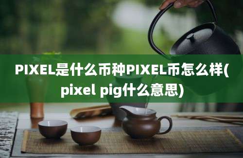 PIXEL是什么币种PIXEL币怎么样(pixel pig什么意思)