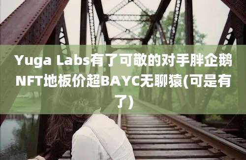 Yuga Labs有了可敬的对手胖企鹅NFT地板价超BAYC无聊猿(可是有了)