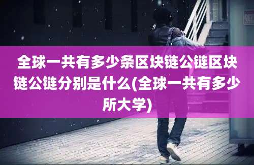 全球一共有多少条区块链公链区块链公链分别是什么(全球一共有多少所大学)