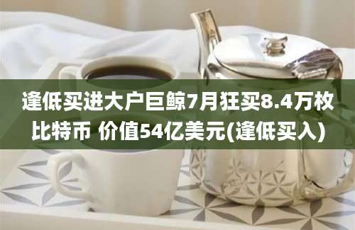 逢低买进大户巨鲸7月狂买8.4万枚比特币 价值54亿美元(逢低买入)