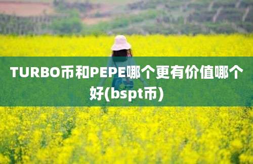 TURBO币和PEPE哪个更有价值哪个好(bspt币)