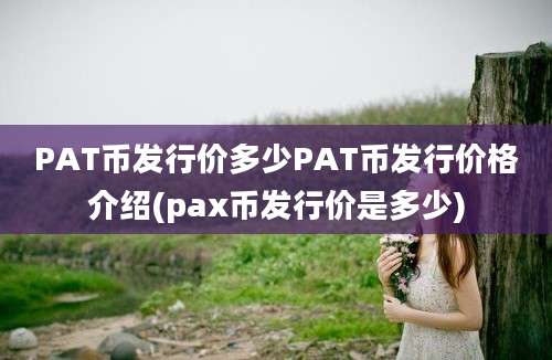 PAT币发行价多少PAT币发行价格介绍(pax币发行价是多少)